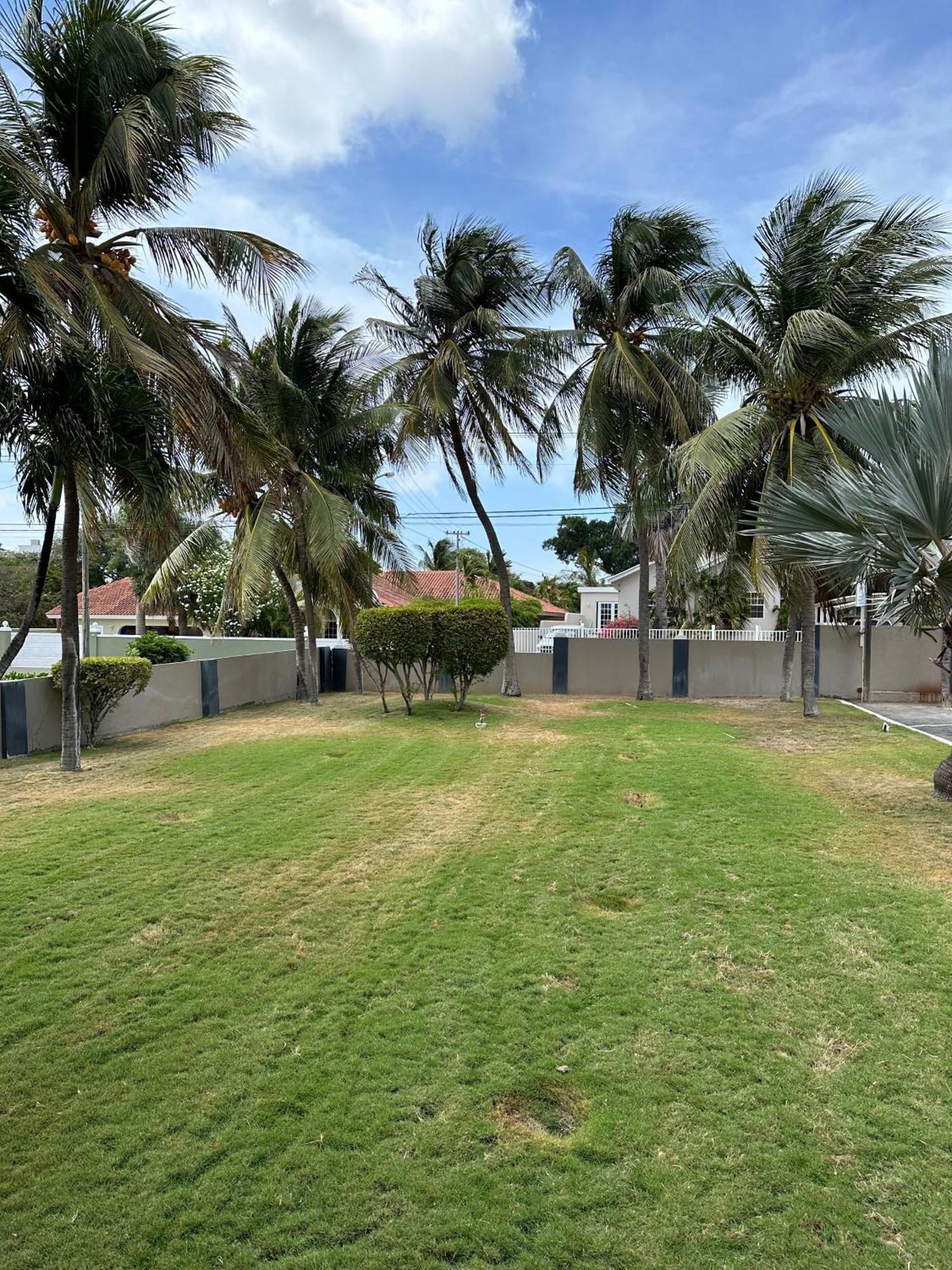 Windmill Apartments Curacao 威廉斯塔德 外观 照片