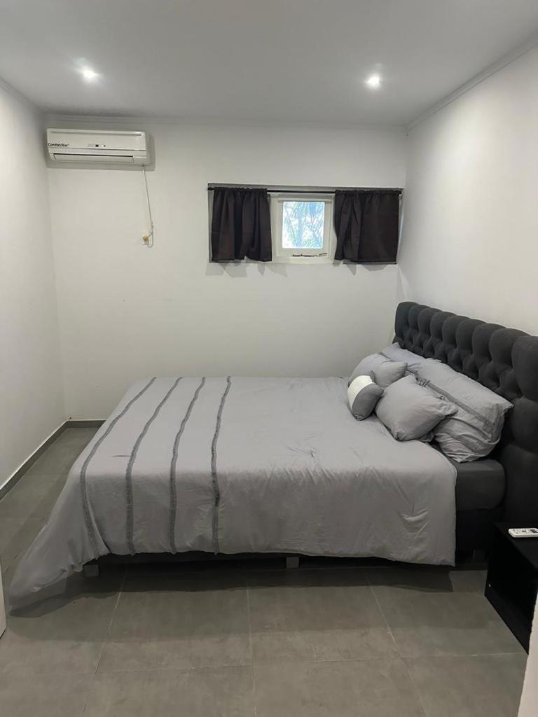Windmill Apartments Curacao 威廉斯塔德 外观 照片
